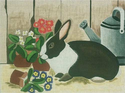 Rabbit in Potting Shed