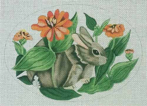 Rabbit in Zinnia
