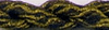 Rachelette A112 Gilded Black