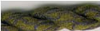 Rachelette A71 Dark Olive