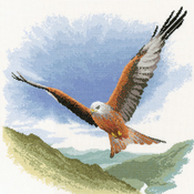 Red Kite In Flight
