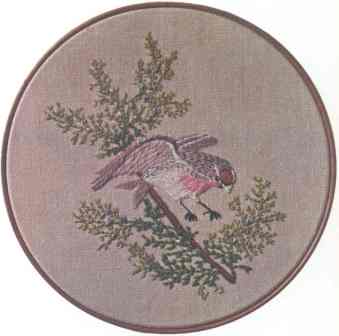 Red Poll