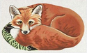 Resting Fox