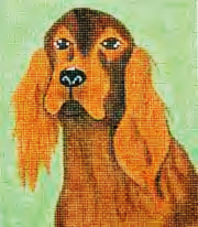 Rita