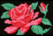 Rose Purse