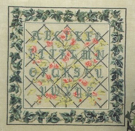Roses In Hedera