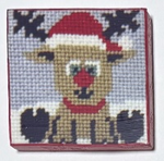 Rudy Needle Minder