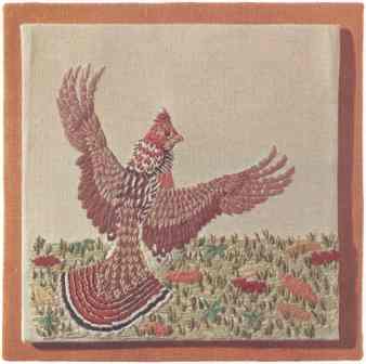 Ruffed Grouse