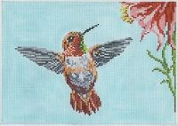 Rufous Hummingbird