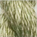 Sage - Thirteen Silk 3141