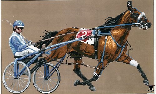 Sandardbred - Pacer