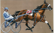 Sandardbred - Pacer