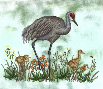 Sandhills