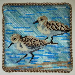 Sandpipers Coaster