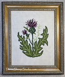 Scottish Thistle