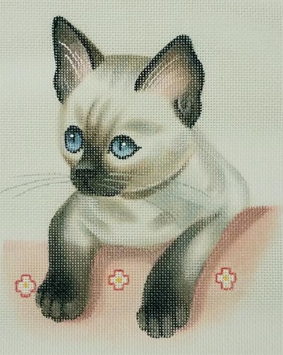 Sealpoint Siamese Kitten