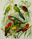 Seven Parrots on Branches