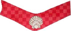 Shell and Checks Straps