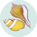 Shells