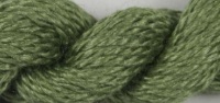 Silk & Ivory 107 Dill Pickle