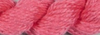 Silk & Ivory 50 Watermelon