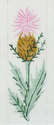 Single Thistle Bookmark