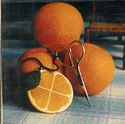 Slice Of Citrus Scissors' Fob