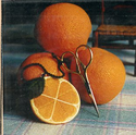 Slice Of Citrus Scissors' Fob
