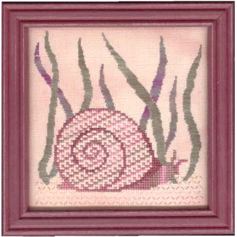 Snail Stroll