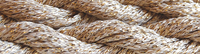 Snow, N08 White Gold