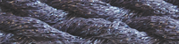 Snow, N16 Gunmetal