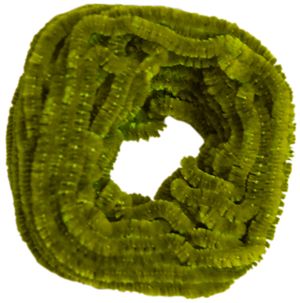 Soie Chenille a Broder -- Cigale Medium, 2124