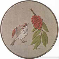 Song Sparrow