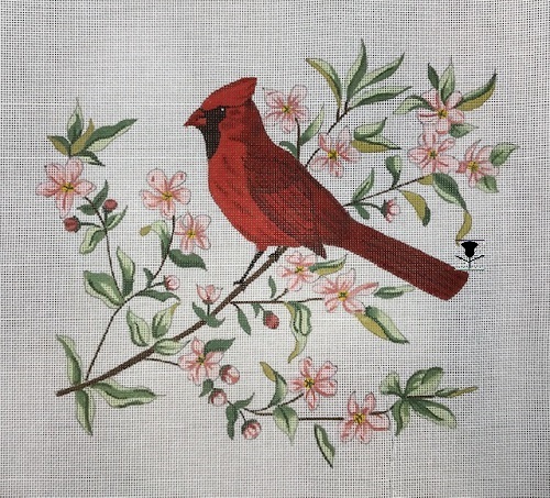 Spring Cardinal