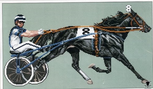 Standardbred - Trotter