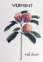 State Flowers - Vermont