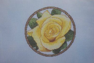 Summer - A Rose For Every Season