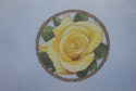 Summer - A Rose For Every Season