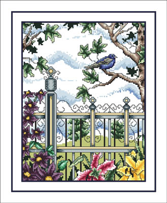 Summer Birds