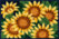 Sunflowers Purse