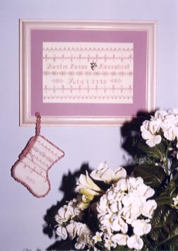 Swedish Weaving - Birth Sampler
