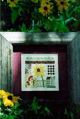 The Blackeyed Susan Garden