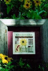 The Blackeyed Susan Garden