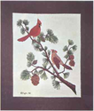 The Cardinals