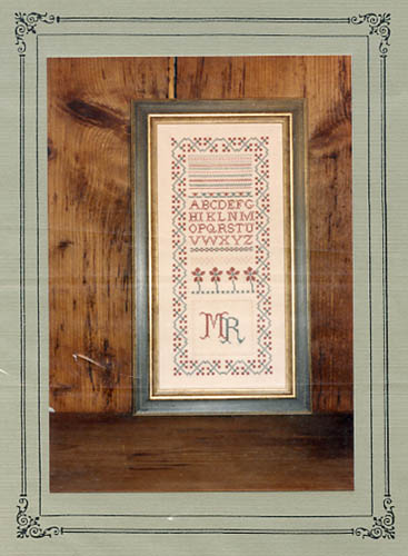 The Floral Vine Sampler