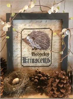 The Hedgehog