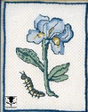 The Iris