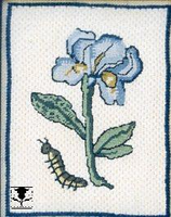 The Iris