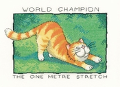 The One Metre Stretch