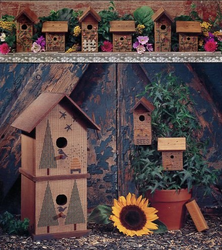 The Summer House